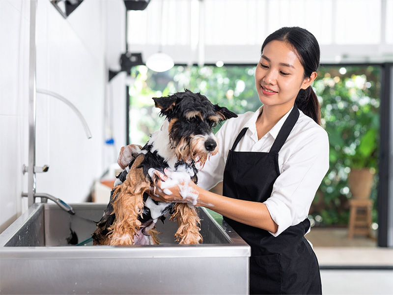 ドッグバス・多目的シンク